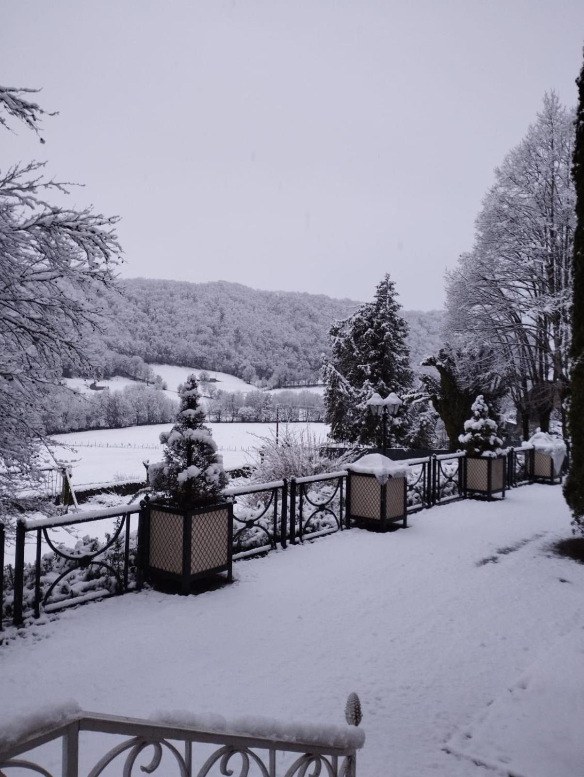 Chambre D'Hote Dans Le Cantal Vallee De La Maronne Saint-Martin-Valmeroux Eksteriør billede