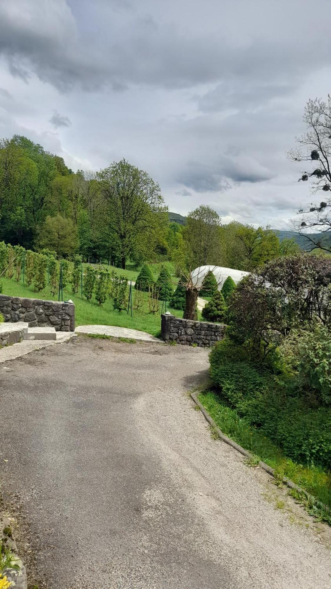 Chambre D'Hote Dans Le Cantal Vallee De La Maronne Saint-Martin-Valmeroux Eksteriør billede
