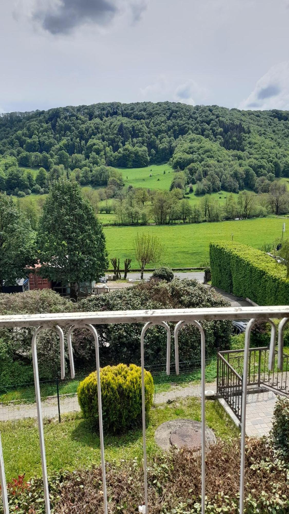 Chambre D'Hote Dans Le Cantal Vallee De La Maronne Saint-Martin-Valmeroux Eksteriør billede